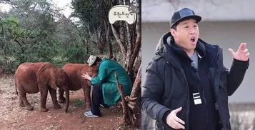 其貌不扬什么意思解释词语，其貌不扬什么意思呀