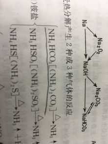 复盐是什么意思，复盐举例