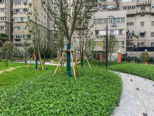 街心花园多彩喷泉票价多少