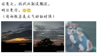 诸如此类的近义词，诸如此类后面一句