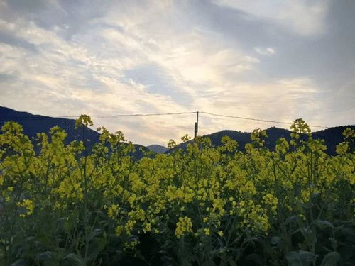 定海天气预报一周7天查询，定海天气网