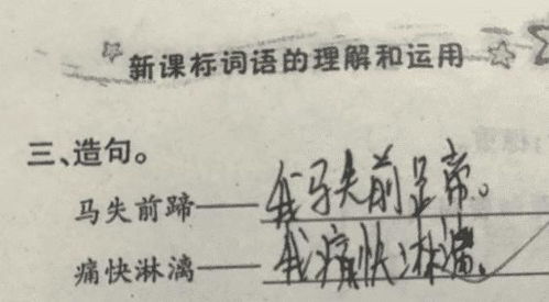 用不过造句(大约30个左右)