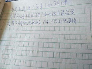 与其不如造句子三年级，与其不如造句子四年级