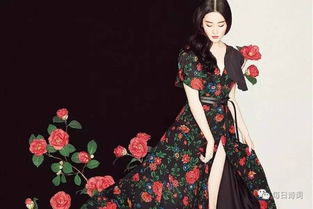 女冠的介绍