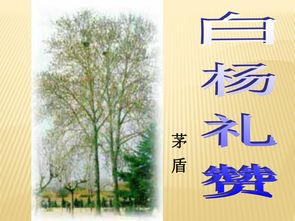 白杨礼赞课文背诵部分，初中语文白杨礼赞课文