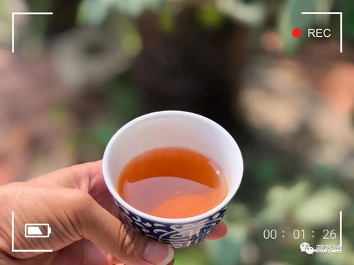 藏茶是属于什么茶?是生茶还是熟茶?