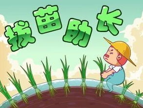 “拔苗助长”是什么意思?