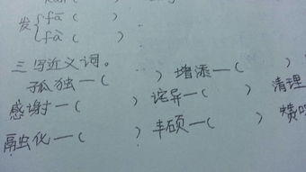 闲的反义词是哪个，闲的反义词是什么词