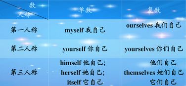 you的三种形式是什么