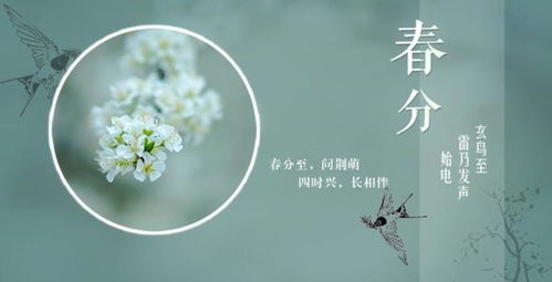春分的谚语和民谣，春分的诗句