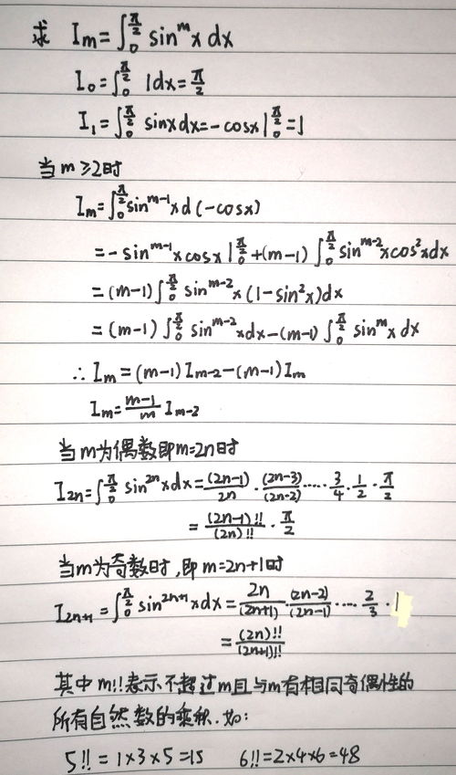 大学生第一学期个人总结范文5篇_大学生个人总结