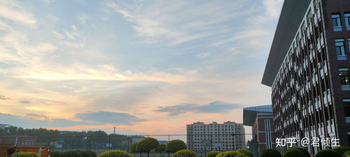 哈尔滨剑桥大学的简介?