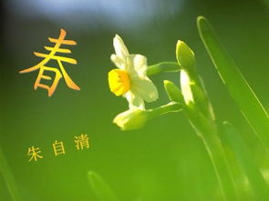 描写春天的短文有哪些?