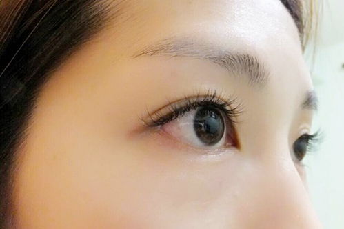 眼毛英文是什么 怎么说