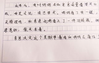 三年级春节作文200字:快乐的大年夜