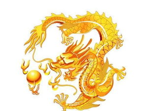属龙的多大岁数，2023年属龙的多大