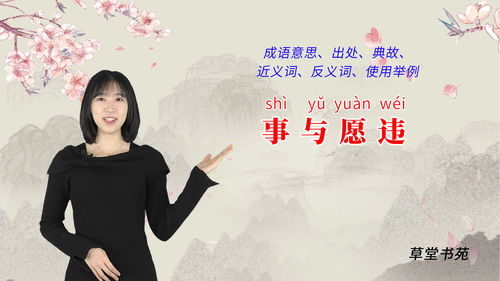 事与愿违 相反的词语是