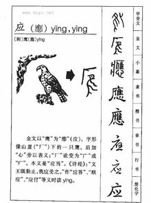 应字的繁体字怎么写