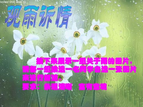 诉说的拼音怎么写