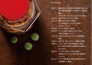 爱情酿的酒 歌词，爱情酿的酒完整版歌词