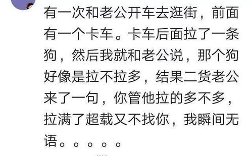 甘愿造句十个字，甘愿造句二年级上册简单