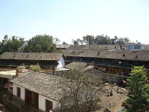 麦村九丈九，麦村小学