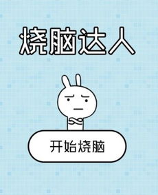 达人是什么意思
