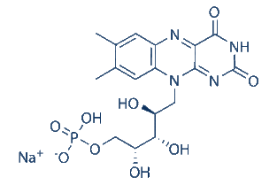 nucleotides