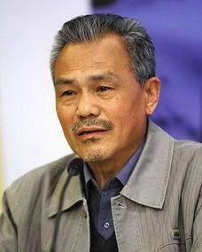 李万年全部电视剧，李万年版《一代廉吏于成龙》19集