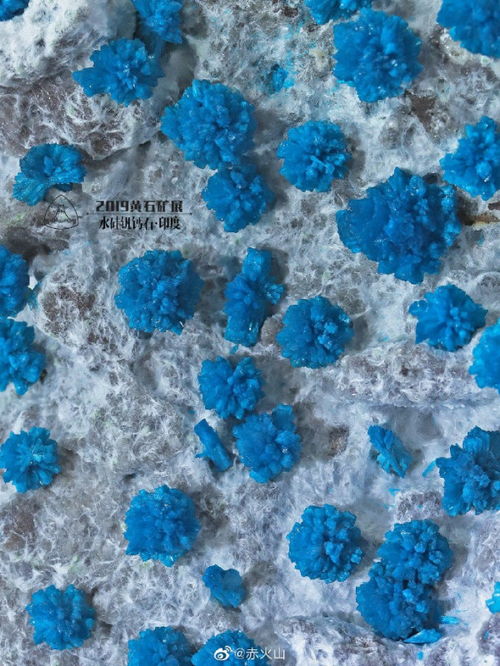 二氧化硫与氯化钡反应的化学方程式