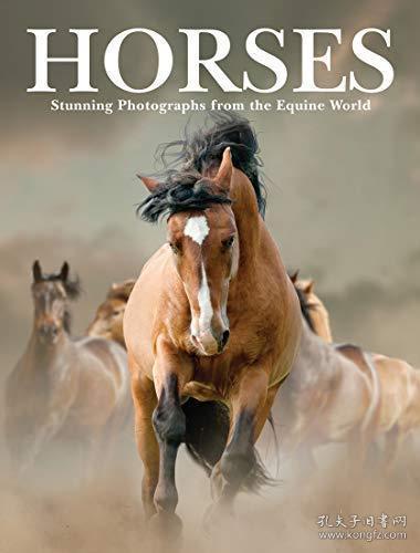 horses for courses是什么意思，horses怎么读音发音 音标