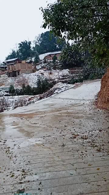 大年初一没下雪有什么含义，大年初一没下雪的艺术特征