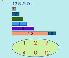 约数是什么意思 约数的含义是什么