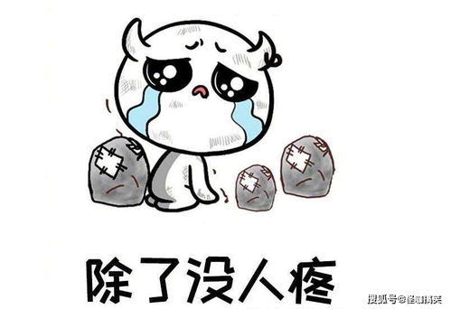 迅雷不及掩耳之势的意思解释，迅雷不及掩耳之势