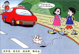 交通安全标志牌图片大全，交通安全宣传