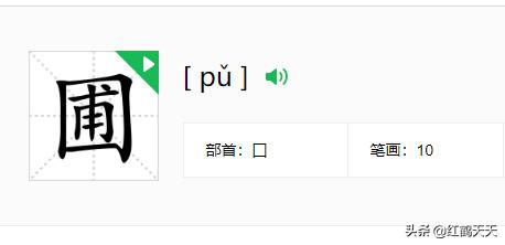 圃的拼音和组词怎么写，圃的拼音和组词和部首结构