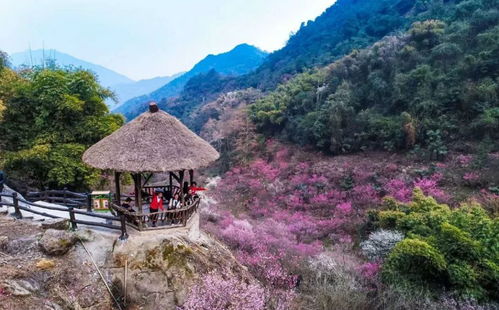 丹景山小火车游玩攻略，丹景山农家乐管吃住多少价格