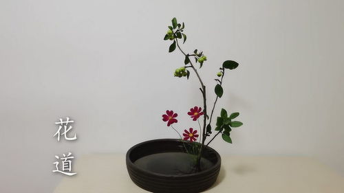 盘花餐巾折花，盘花的叠法
