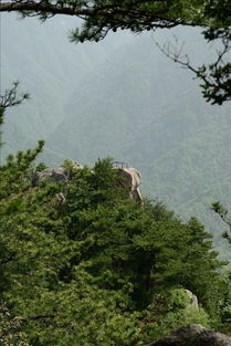 鸡峰山(陈仓山)好不好
