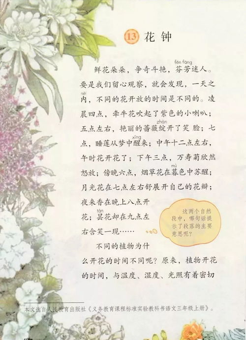 小学三年级语文课文原文