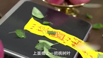 挥金如什么