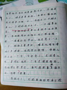 我身边的小能人作文