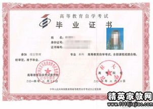 自我鉴定500字本科毕业【5篇】