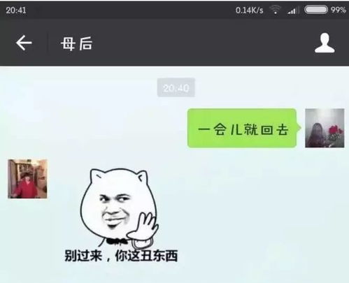 前俯后仰是什么意思