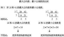 什么叫约数什么叫质数，什么叫约数词