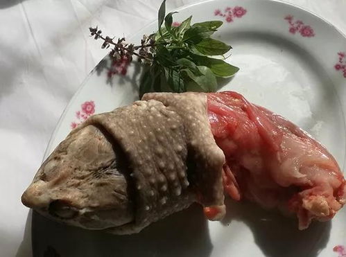 龟肉煲汤放什么材料，龟肉可以吃吗