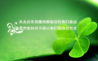 励志美文200字，励志 美文