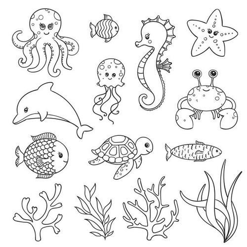 海底动物插画-海底动物怎么画