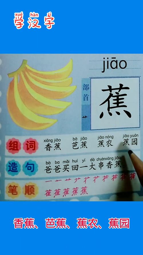 “生涯”的意思是什么?