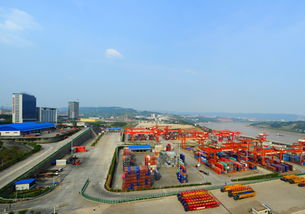 寸头，cunter